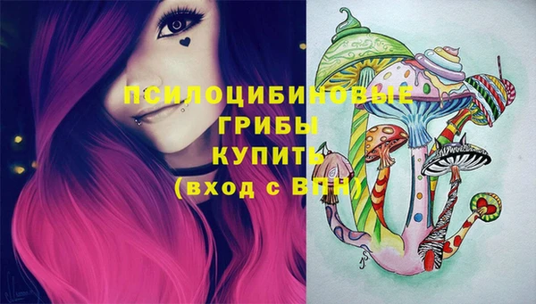 молекула духа Алзамай