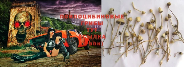 прущая мука Алексин